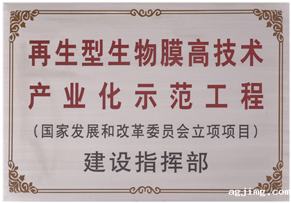 2009年1月